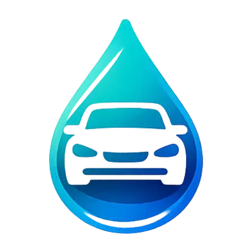 Lavage auto à domicile Essay